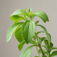 Stevia